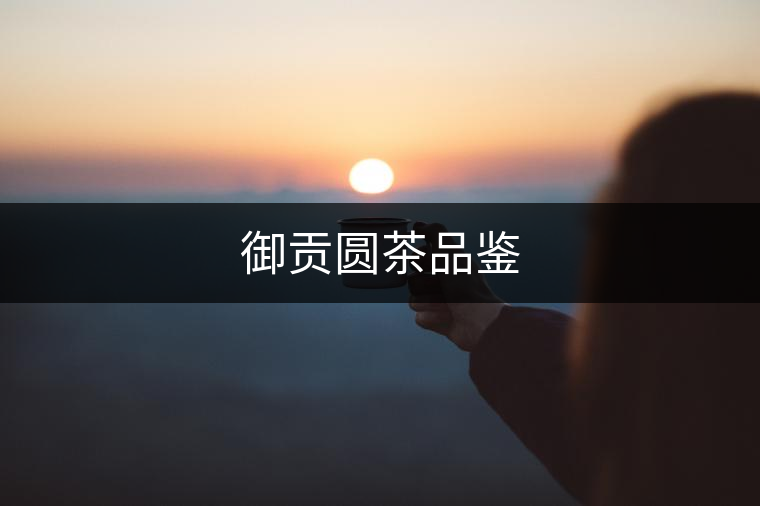 御貢圓茶品鑒