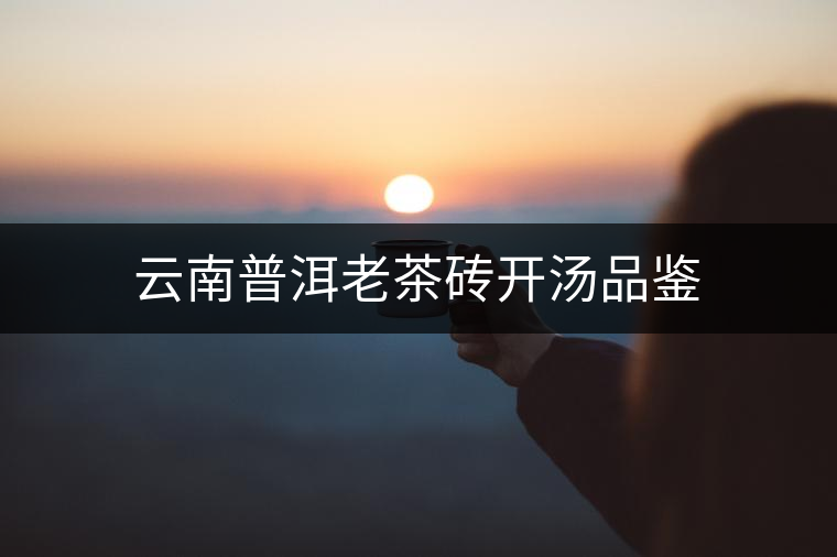 云南普洱老茶磚開湯品鑒