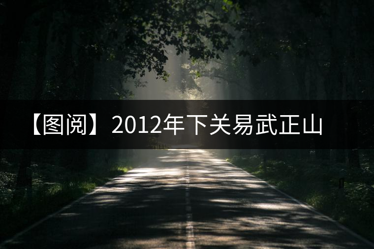 【圖閱】2012年下關(guān)易武正山老樹(shù)沱鑒賞