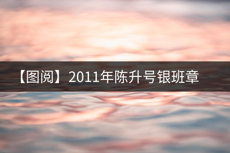 【圖閱】2011年陳升號(hào)銀班章開(kāi)湯鑒賞