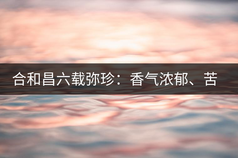合和昌六載彌珍：香氣濃郁、苦澀均衡