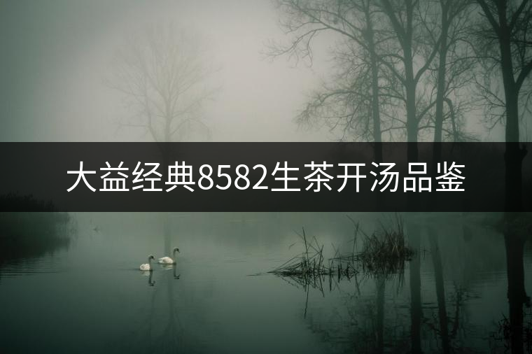 大益經(jīng)典8582生茶開湯品鑒 大益經(jīng)典8582生茶開湯品鑒