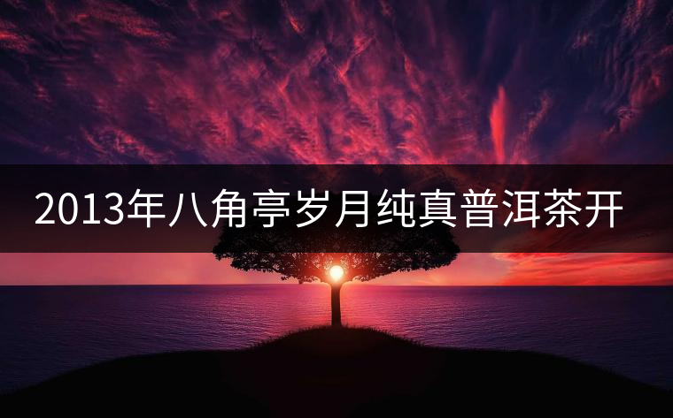 2013年八角亭歲月純真普洱茶開(kāi)湯