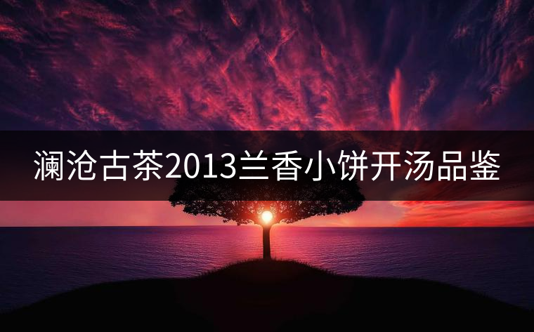 瀾滄古茶2013蘭香小餅開湯品鑒