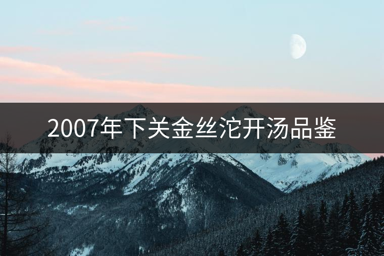 2007年下關(guān)金絲沱開(kāi)湯品鑒 2007年下關(guān)金絲沱開(kāi)湯品鑒
