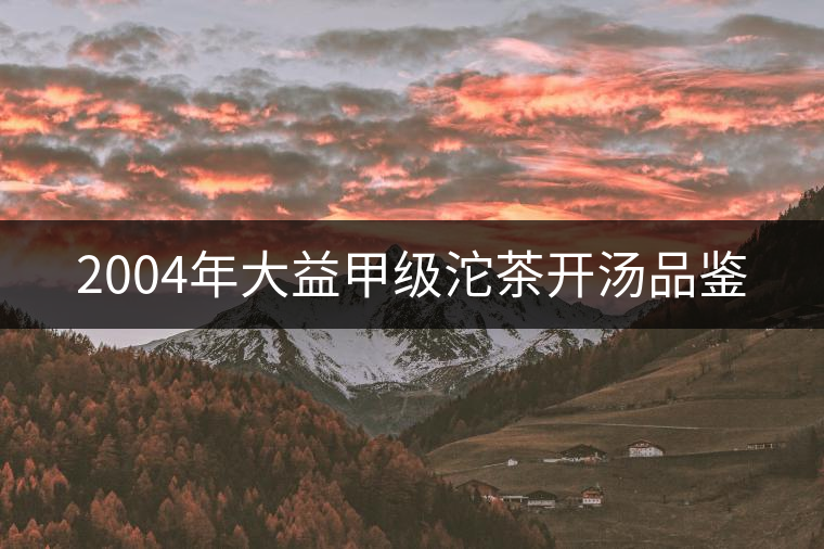 2004年大益甲級(jí)沱茶開湯品鑒 2004年大益甲級(jí)沱茶開湯品鑒
