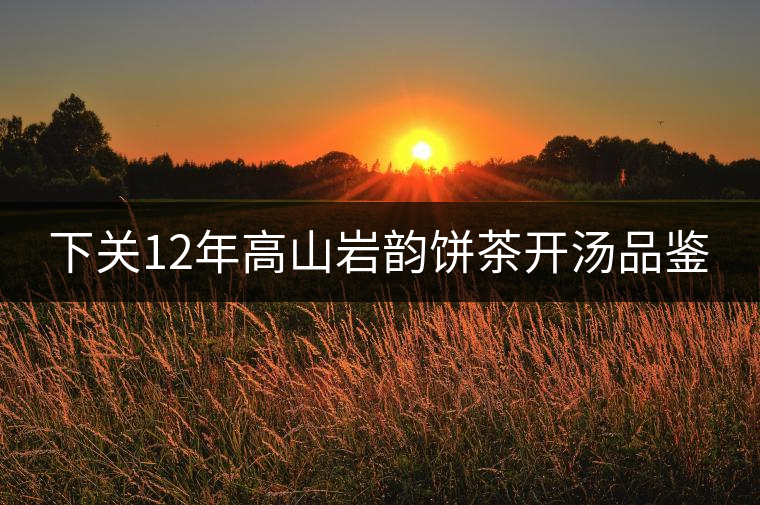 下關12年高山巖韻餅茶開湯品鑒 下關12年高山巖韻餅茶開湯品鑒