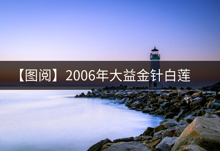 【圖閱】2006年大益金針白蓮開(kāi)湯