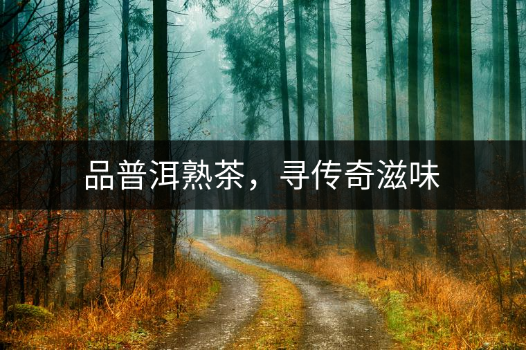 品普洱熟茶，尋傳奇滋味