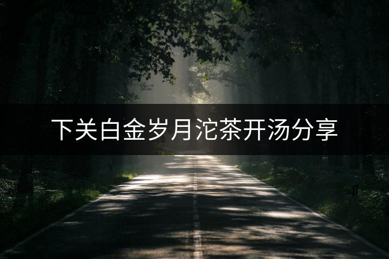 下關(guān)白金歲月沱茶開湯分享