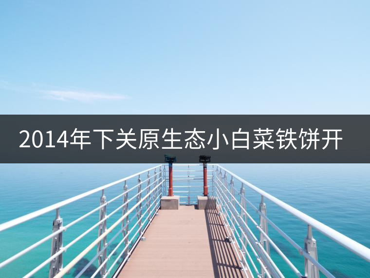 2014年下關(guān)原生態(tài)小白菜鐵餅開湯品鑒