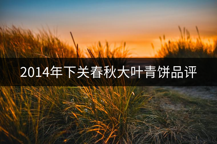 2014年下關(guān)春秋大葉青餅品評