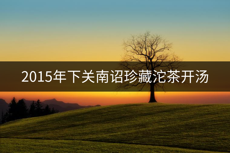 2015年下關南詔珍藏沱茶開湯