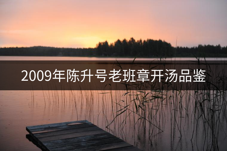 2009年陳升號(hào)老班章開(kāi)湯品鑒 2009年陳升號(hào)老班章開(kāi)湯品鑒