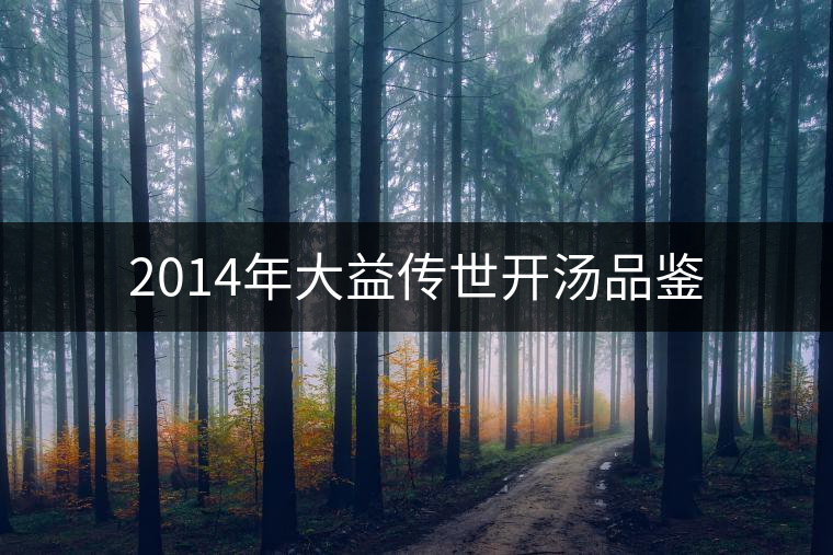 2014年大益?zhèn)魇篱_湯品鑒