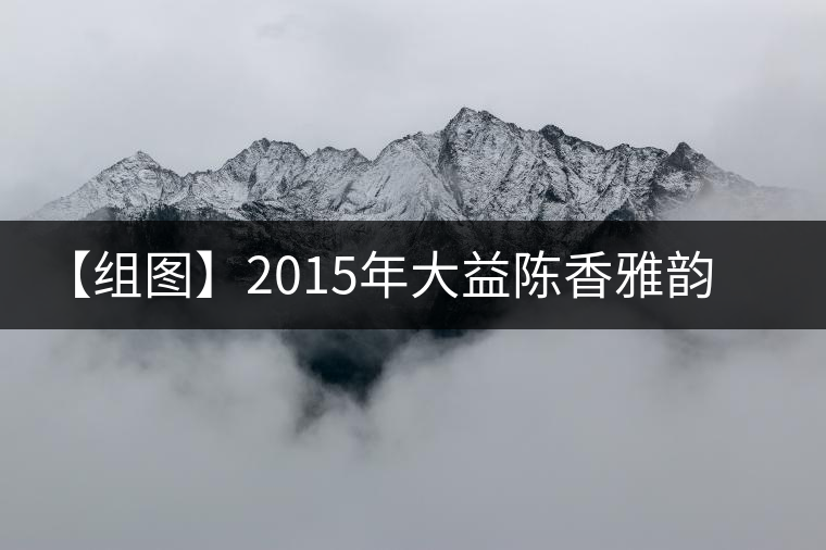 【組圖】2015年大益陳香雅韻開湯