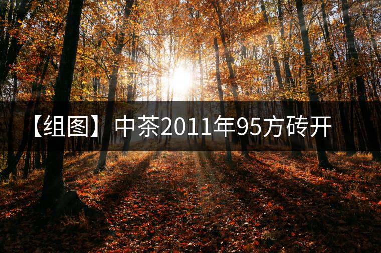 【組圖】中茶2011年95方磚開湯 【組圖】中茶2011年95方磚開湯