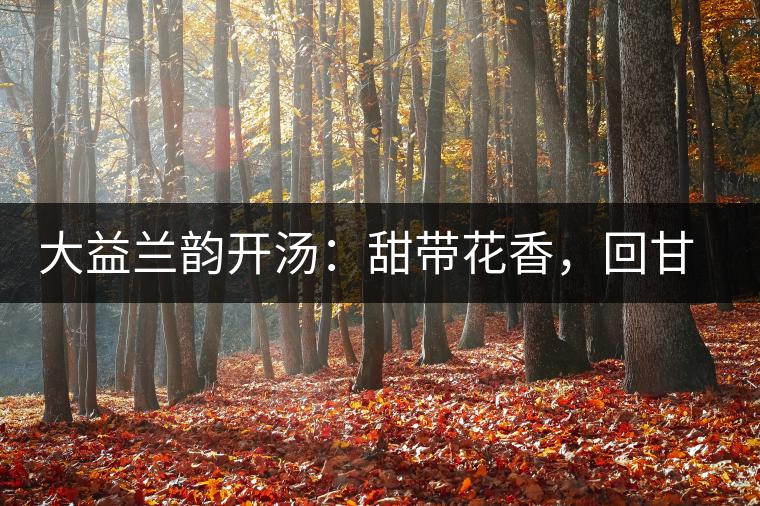 大益蘭韻開湯：甜帶花香，回甘持久