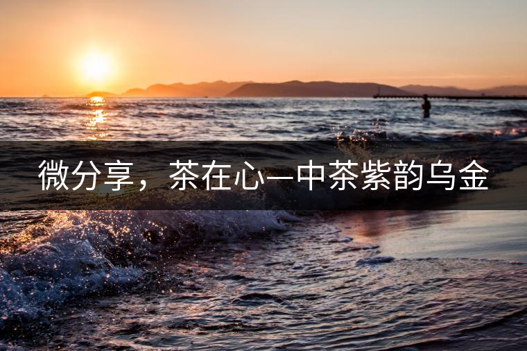 微分享，茶在心—中茶紫韻烏金