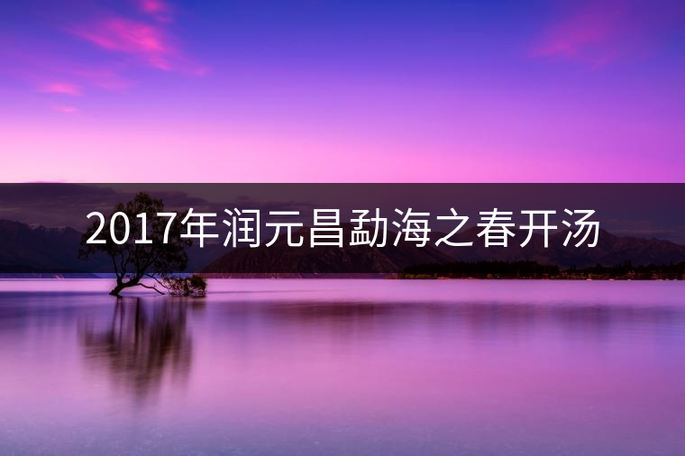 2017年潤(rùn)元昌勐海之春開(kāi)湯
