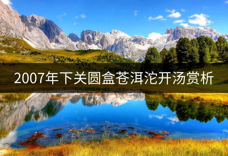 2007年下關(guān)圓盒蒼洱沱開湯賞析