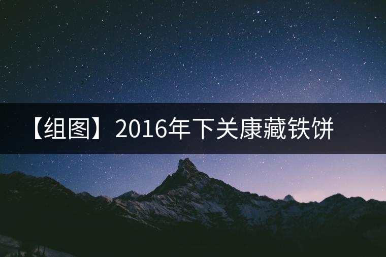 【組圖】2016年下關(guān)康藏鐵餅開湯品鑒