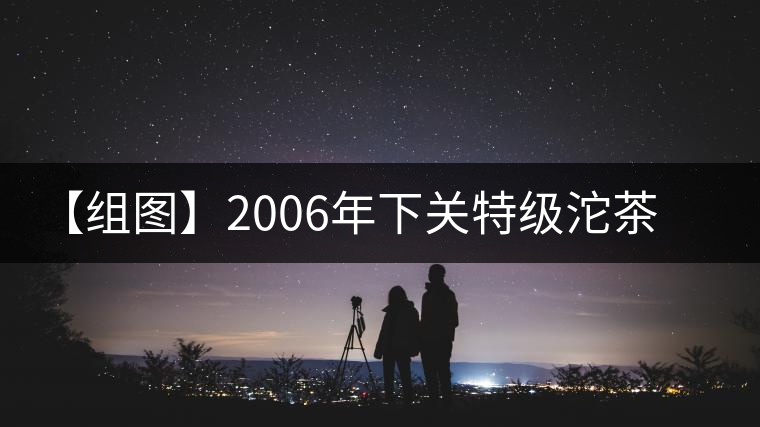 【組圖】2006年下關(guān)特級沱茶開湯
