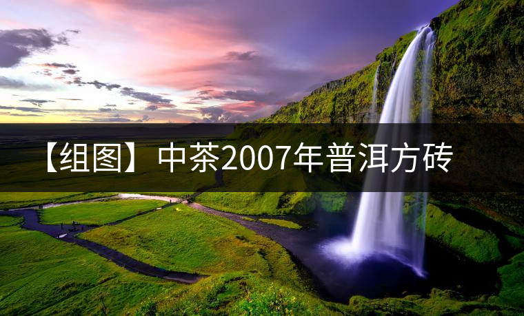 【組圖】中茶2007年普洱方磚開湯