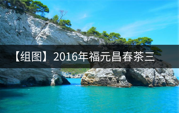 【組圖】2016年福元昌春茶三月拔瑪小餅開(kāi)湯