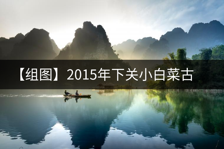 【組圖】2015年下關(guān)小白菜古樹茶開湯 【組圖】2015年下關(guān)小白菜古樹茶開湯