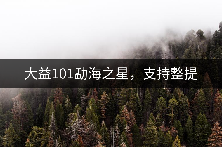 大益101勐海之星，支持整提