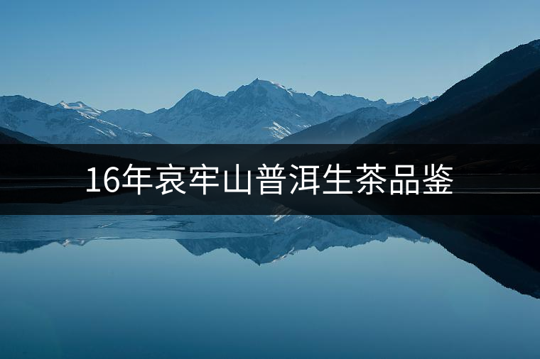 16年哀牢山普洱生茶品鑒 16年哀牢山普洱生茶品鑒