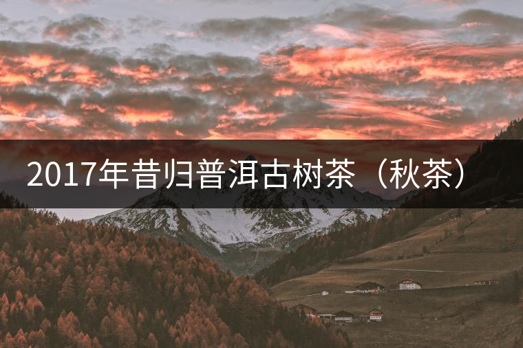 2017年昔歸普洱古樹茶（秋茶）品鑒報告