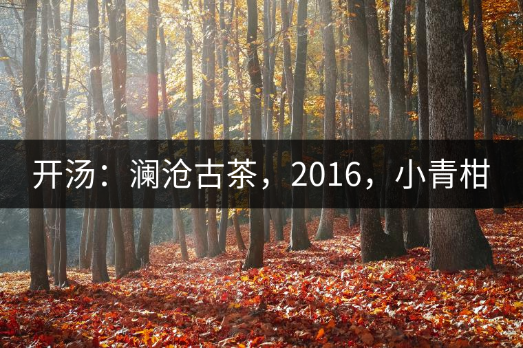 開湯：瀾滄古茶，2016，小青柑