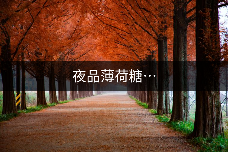 夜品薄荷糖…