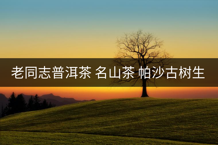 老同志普洱茶 名山茶 帕沙古樹(shù)生 2017年開(kāi)湯 老同志普洱茶 名山茶 帕沙古樹(shù)生 2017年開(kāi)湯
