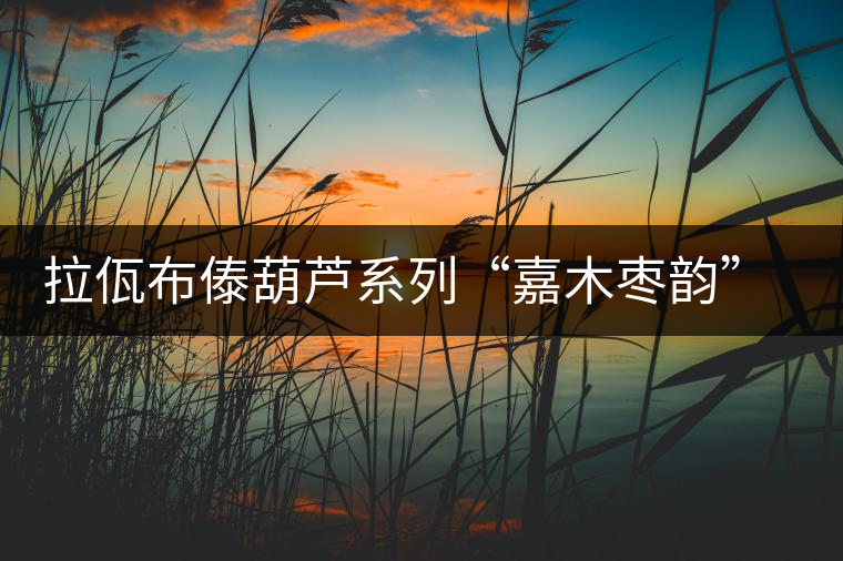 拉佤布傣葫蘆系列“嘉木棗韻”(合)開湯 拉佤布傣葫蘆系列“嘉木棗韻”(合)開湯