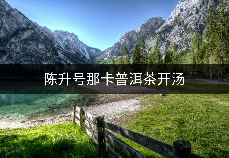 陳升號(hào)那卡普洱茶開湯