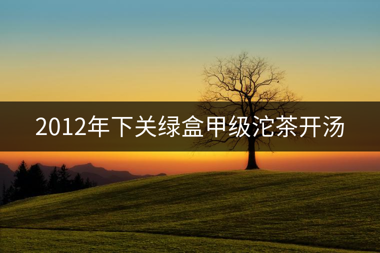 2012年下關(guān)綠盒甲級沱茶開湯 2012年下關(guān)綠盒甲級沱茶開湯