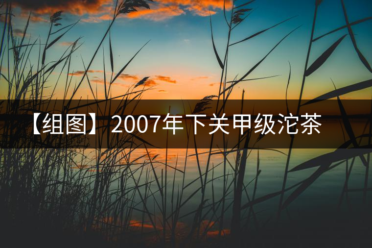 【組圖】2007年下關(guān)甲級(jí)沱茶開湯 【組圖】2007年下關(guān)甲級(jí)沱茶開湯