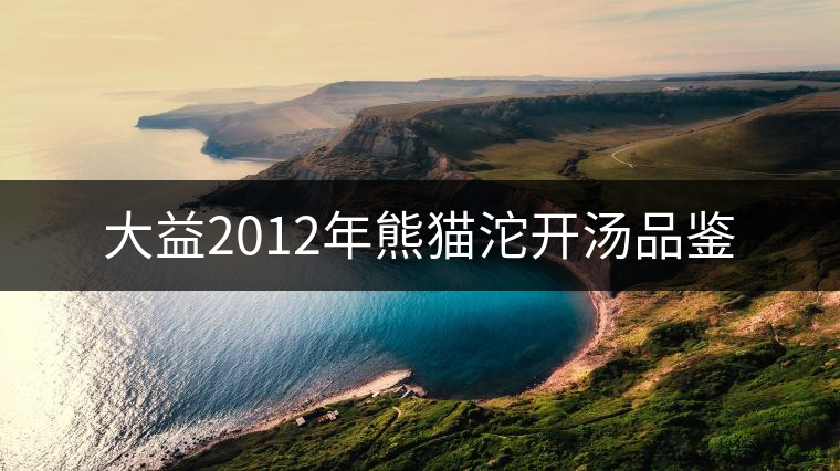 大益2012年熊貓沱開湯品鑒