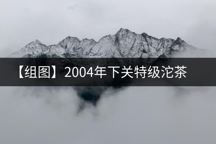 【組圖】2004年下關(guān)特級沱茶開湯