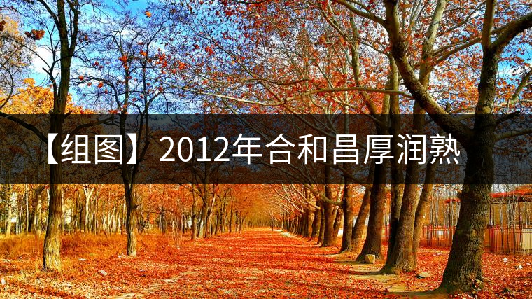 【組圖】2012年合和昌厚潤熟餅開湯