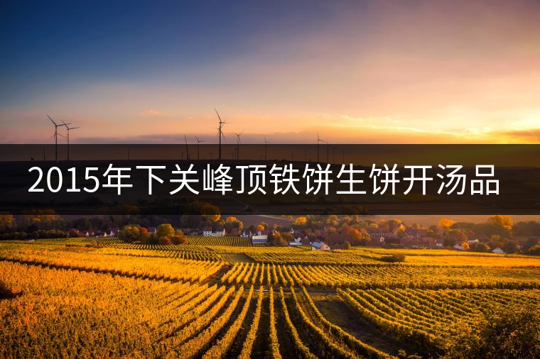 2015年下關(guān)峰頂鐵餅生餅開湯品鑒