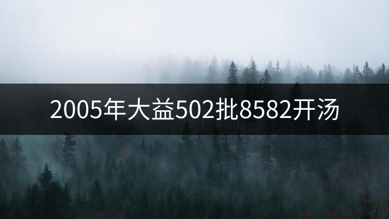 2005年大益502批8582開(kāi)湯