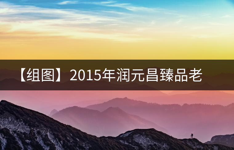 【組圖】2015年潤元昌臻品老茶頭開湯 【組圖】2015年潤元昌臻品老茶頭開湯