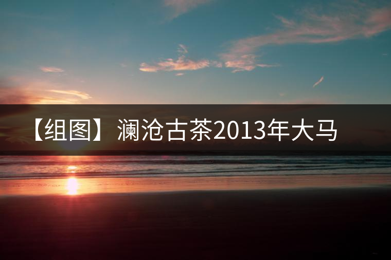 【組圖】瀾滄古茶2013年大馬幫茶磚開湯 【組圖】瀾滄古茶2013年大馬幫茶磚開湯