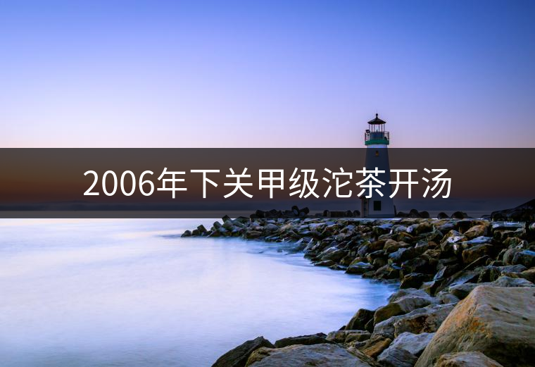 2006年下關甲級沱茶開湯