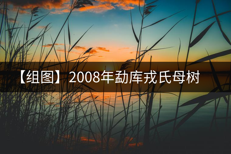 【組圖】2008年勐庫(kù)戎氏母樹(shù)茶開(kāi)湯