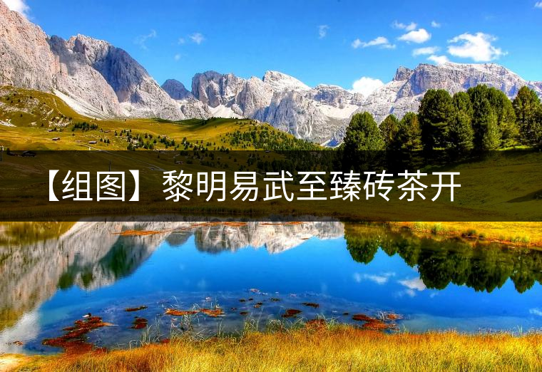 【組圖】黎明易武至臻磚茶開(kāi)湯